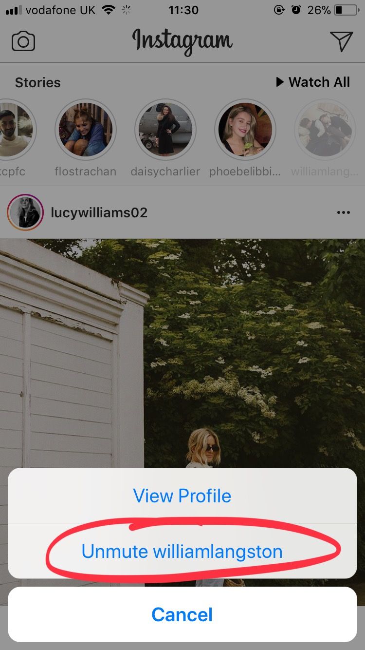 Image may contain: how to stop seeing someone's Instagram story, Poster, Paper, Flyer, Brochure