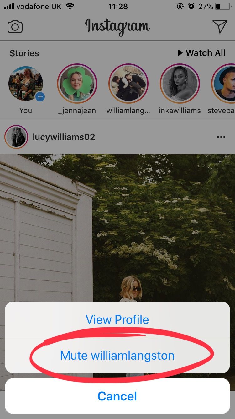 Image may contain: how to stop seeing someone's Instagram story, Poster