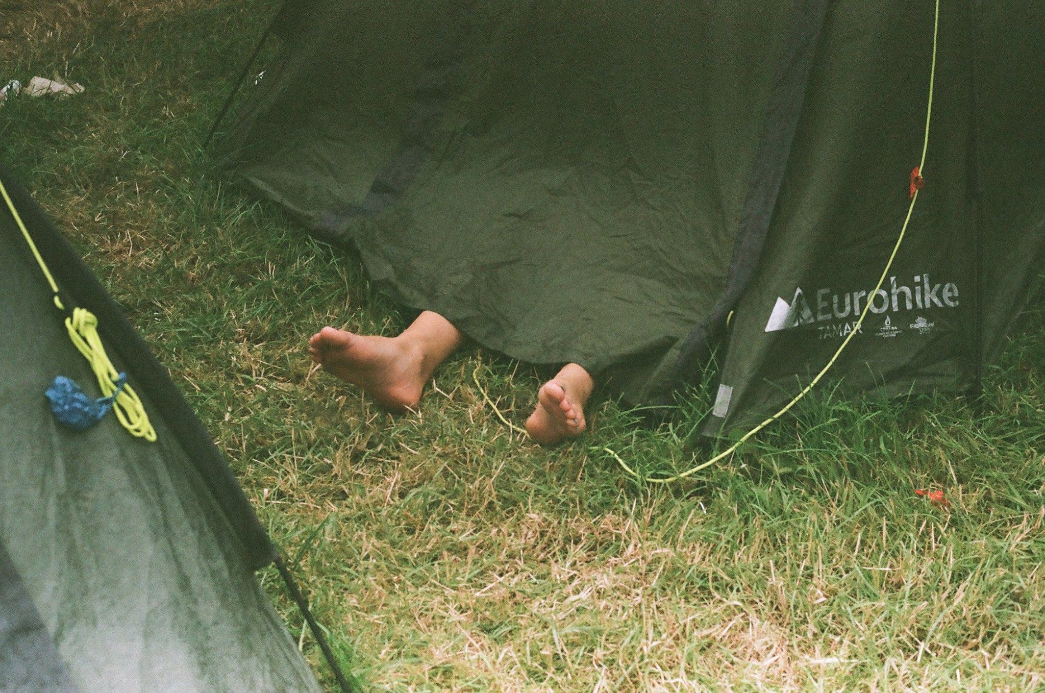 how to survive at a festival