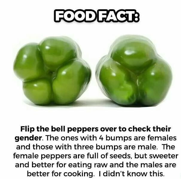 Image may contain: Bell Pepper, Vegetable, Produce, Plant, Pepper, Food, Flora