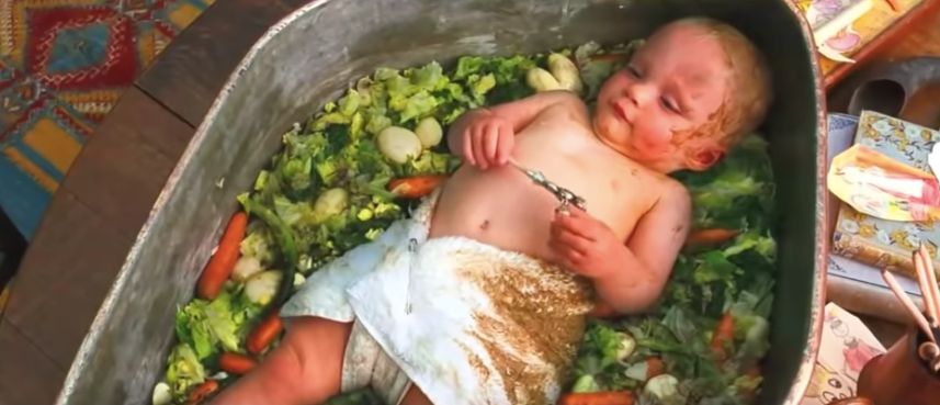Image may contain: Plant, Newborn, Baby, Human, Person