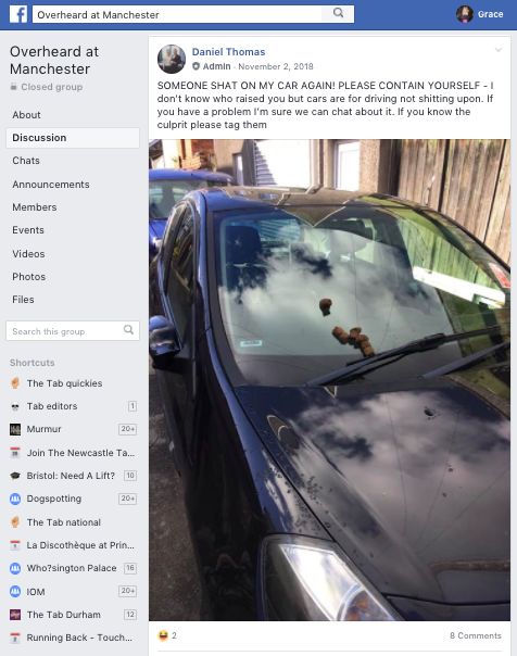 Image may contain: Windshield, Advertisement, Flyer, Brochure, Poster, Paper