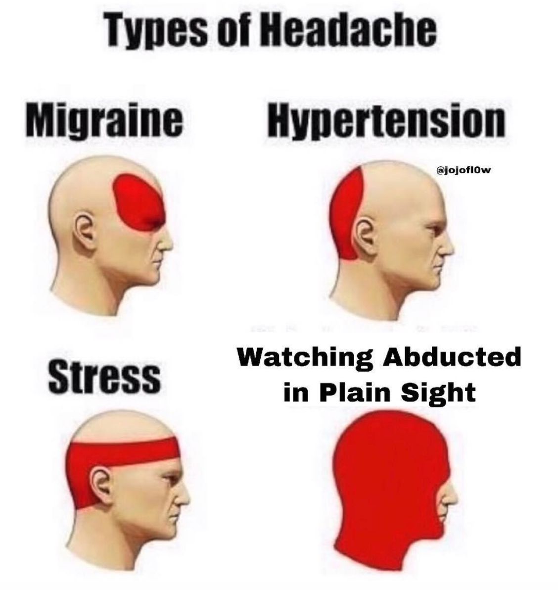 Image may contain: Abducted in Plain Sight memes, Abducted in Plain Sight, memes, Netflix, Id Cards, Text, Document, Swimming Cap, Neck, Person, Human, Cap, Hat, Bathing Cap, Swimwear, Head, Clothing, Apparel