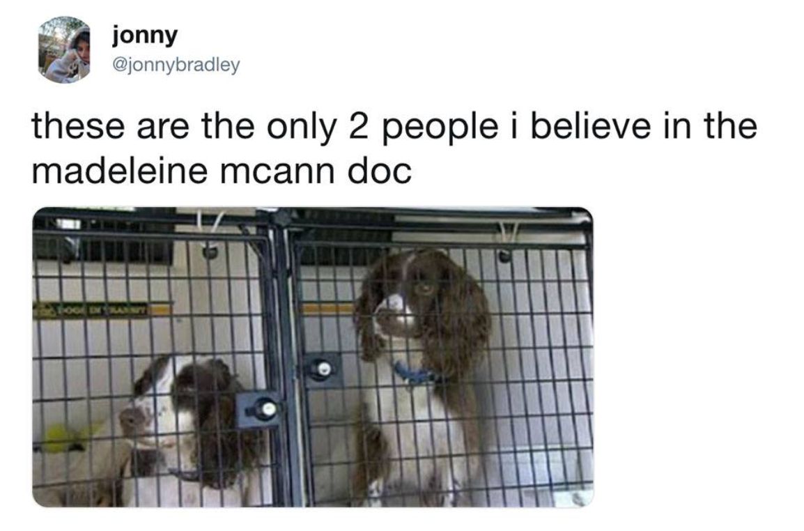 Image may contain: Madeleine McCann documentary reactions, Madeleine McCann, dogs, theory, the disappearance of madeleine mccann, meme, memes, Netflix, documentary, Kennel, Dog House, Den, Human, Person