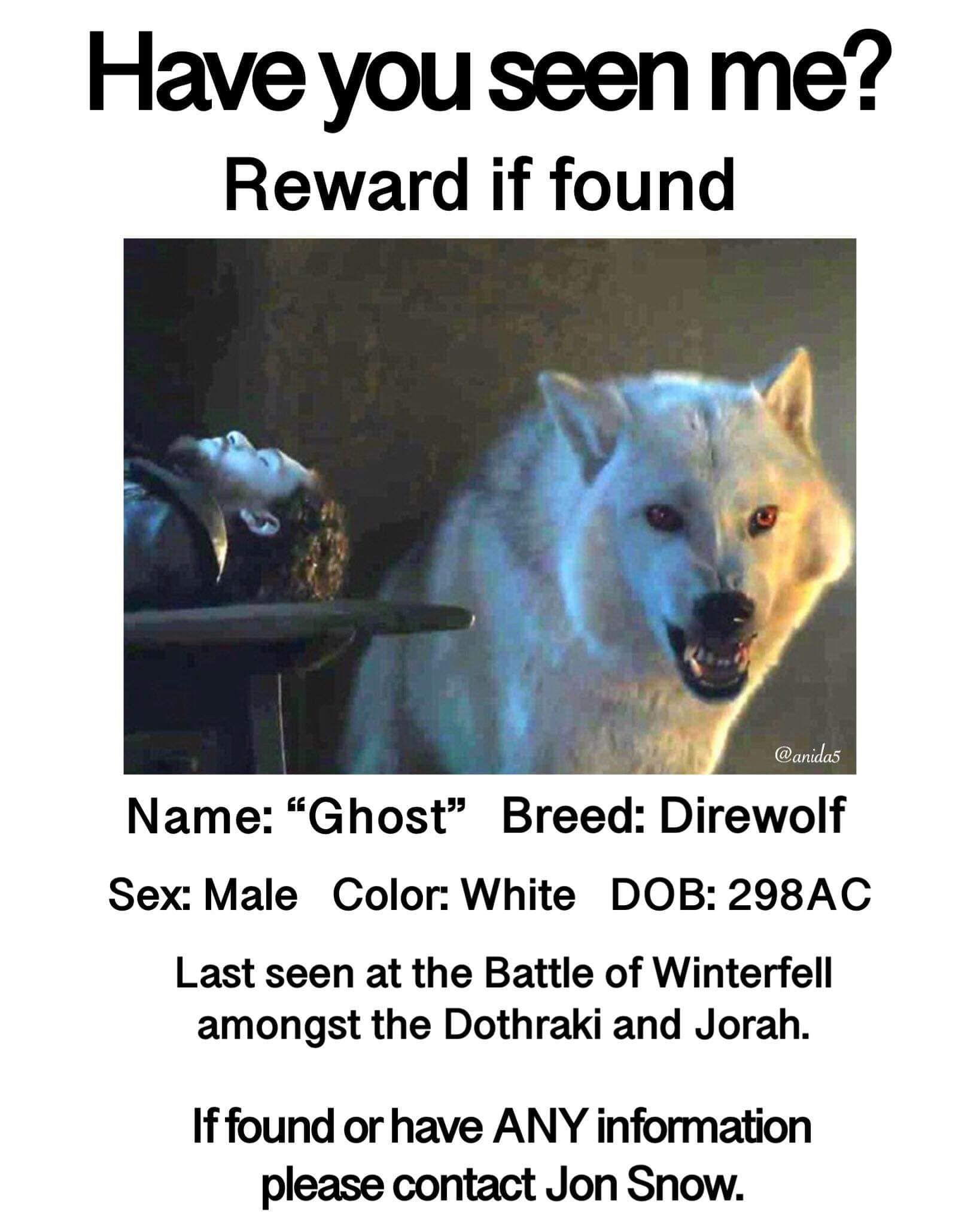 Image may contain: Game of Thrones season 8 episode 3 memes, Game of Thrones memes, Game of Thrones, GoT, memes, meme, reaction, funny, best, Ghost, twitter, tweet, season 8 episode 3, Battle of Winterfell, Canine, Dog, Pet, Mammal, Animal, Wolf