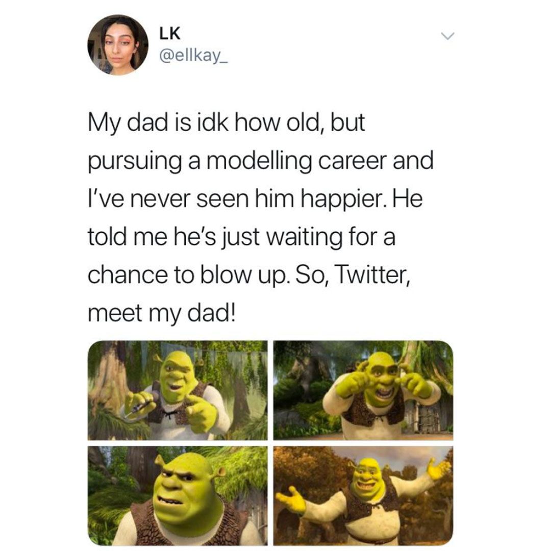 Image may contain: Twitter meet my dad, meme, twitter, dad meme, modelling, meet my dad meme, Potted Plant, Amphibian, Wildlife, Jar, Vase, Pottery, Animal, Plant, Flyer, Advertisement, Poster, Paper, Brochure, Human, Person