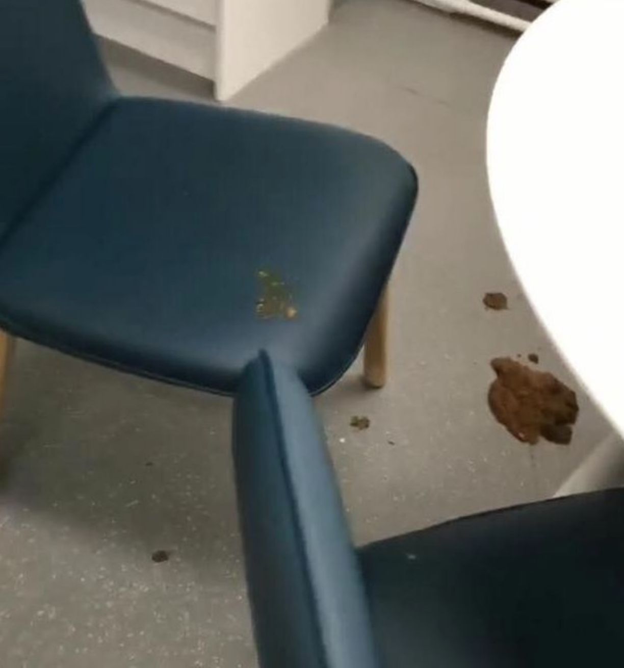 Image may contain: Chair, Furniture