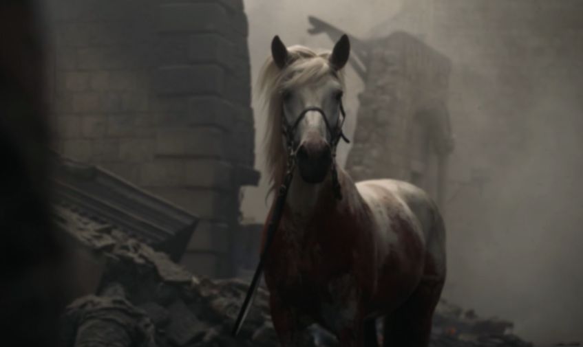 Image may contain: Game of Thrones white horse, game of thrones, Mammal, Horse, Animal
