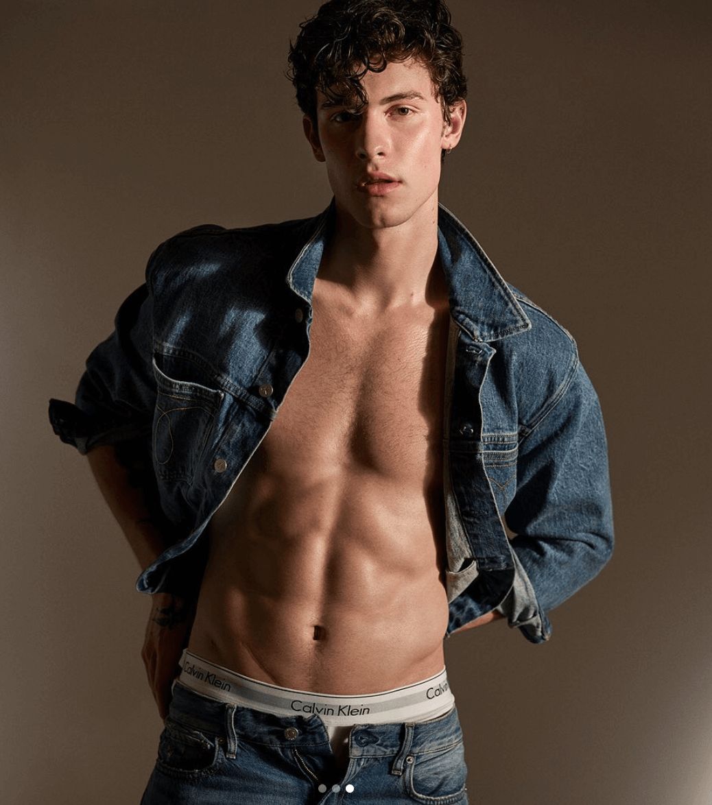 Image may contain: Shawn Mendes Calvin Klein, Shawn Mendes, Calvin Klein, underwear, nudes, photos, Pants, Apparel, Clothing, Man, Human, Person