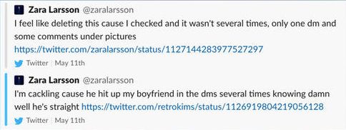 Image may contain: James Charles homophobia, James Charles, homophobic, tweet, Zara larsson, news, update, bye sister, Word, Paper, Text