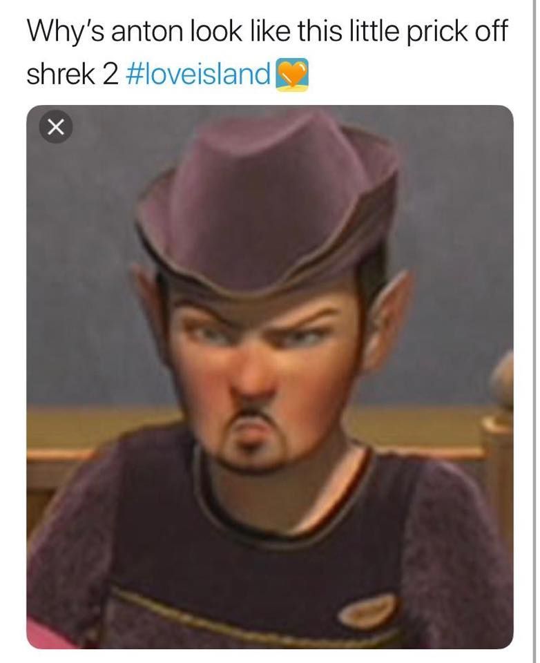 Image may contain: Love Island week one memes, Love Island, 2019, memes, cast, funny, best, Anton, Shrek, contestants, Painting, Apparel, Clothing, Hat, Art, Person, Human