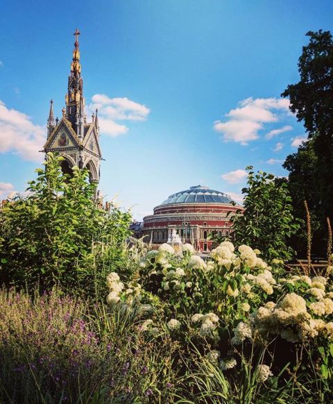 Image may contain: Bell Tower, Scenery, Tree, Arbour, Landscape, Church, Cathedral, Nature, Grass, Garden, Outdoors, Plant, Bush, Vegetation, Tower, Spire, Architecture, Steeple, Building