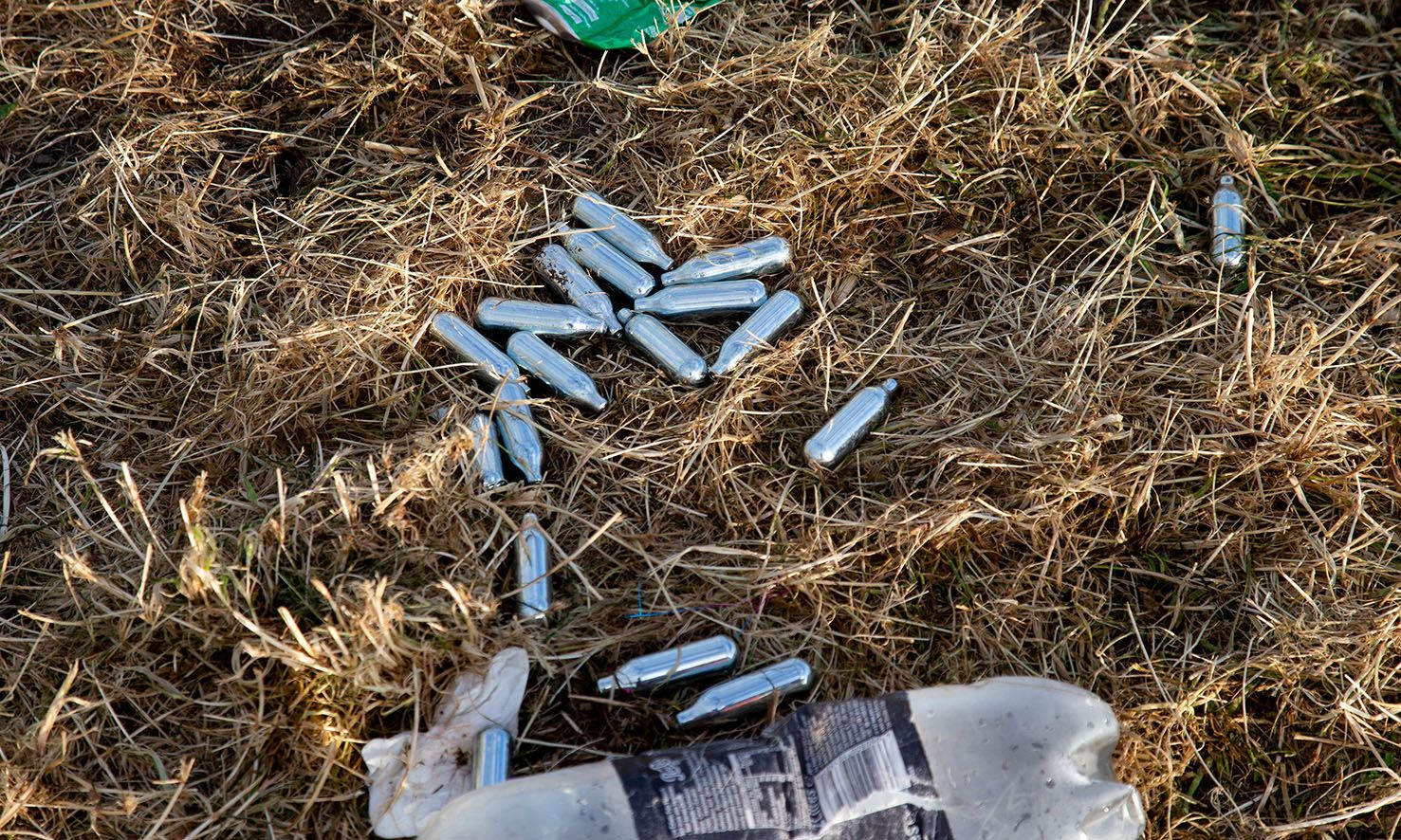Image may contain: Countryside, Nature, Outdoors, Soil, Bird, Animal, Ground, Bottle