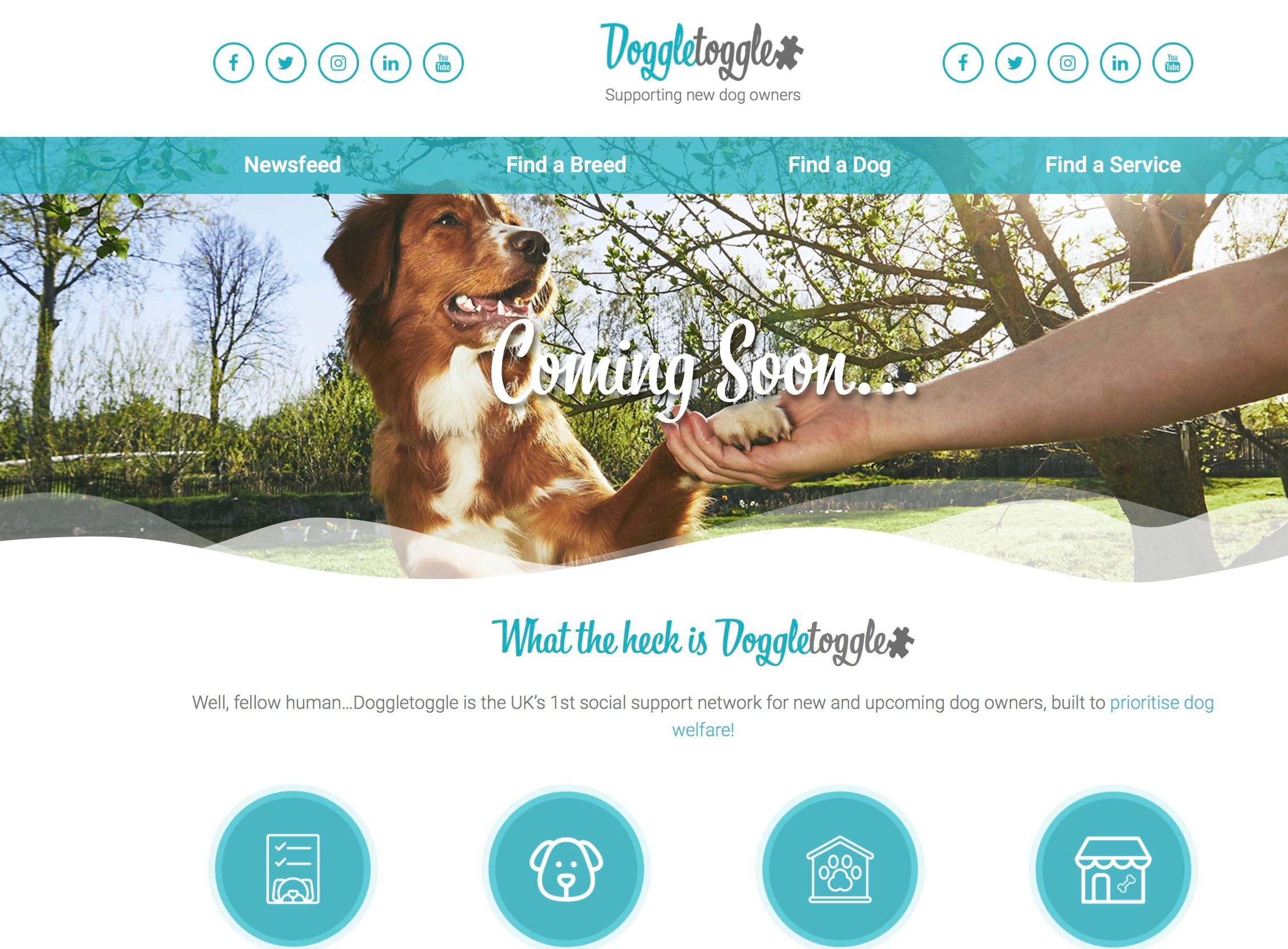 Image may contain: Pet, Word, Mammal, Animal, Canine, Brochure, Paper, Flyer, Poster, Person, Human, Advertisement