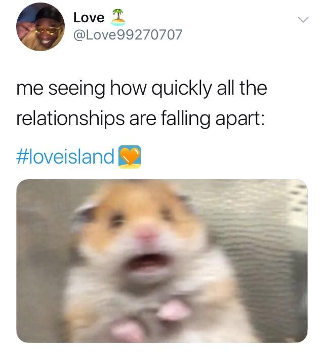 Image may contain: Casa Amor Love Island memes, Love Island, Casa Amor, meme, reaction, tweet, funny, savage, best, Twitter, Text, Human, Person, Rodent, Hamster, Pet, Canine, Dog, Animal, Mammal