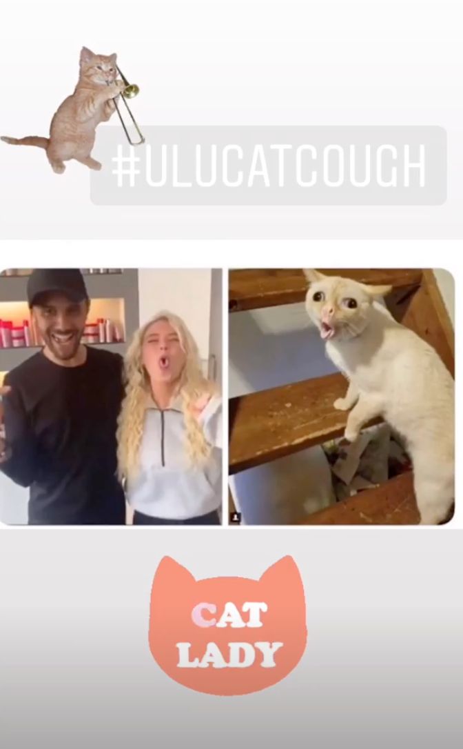 Image may contain: Lucie Love Island video, Lucie Donlan, Love Island, video, viral, twitter, jordan, hairdressers, hair salon, Cat, meme, cough, Animal, Dog, Pet, Mammal, Canine, Face, Collage, Advertisement, Poster, Human, Person