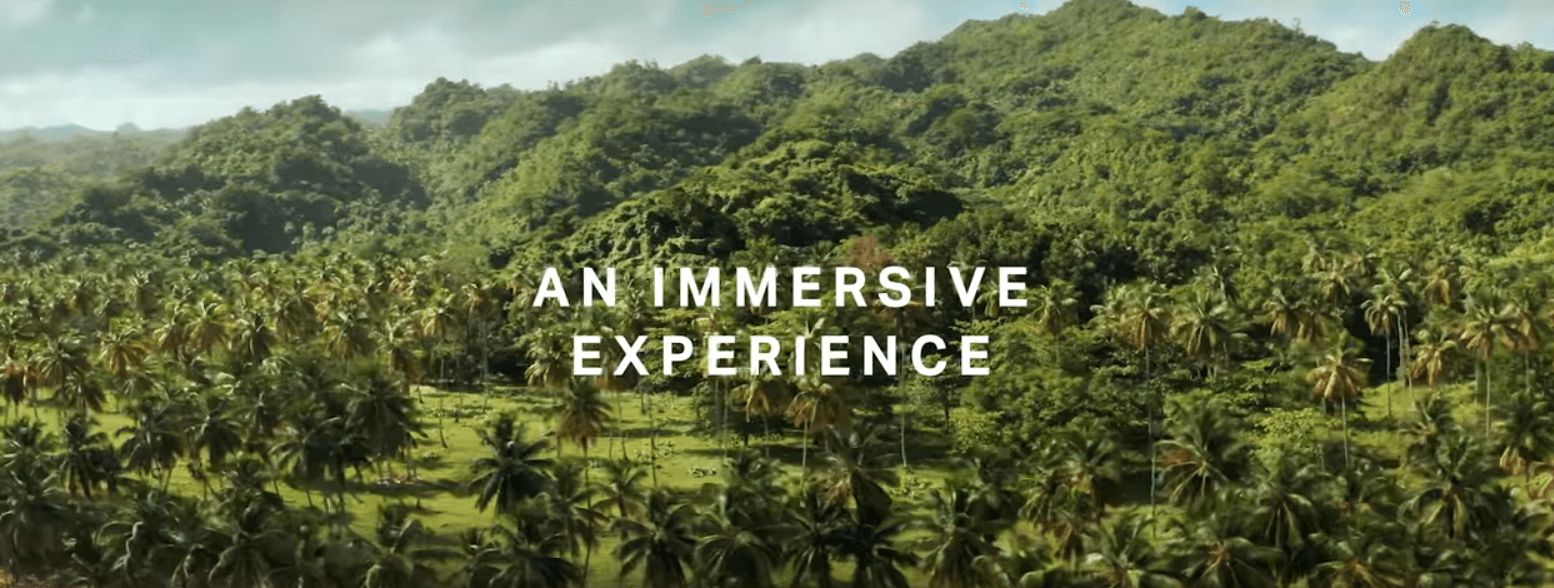 Image may contain: The I-Land, Netflix, Fyre Festival, horror, series, film, show, adaption, new, trailer, cast, release date, Countryside, Jungle, Tree, Land, Rainforest, Nature, Outdoors, Plant, Vegetation