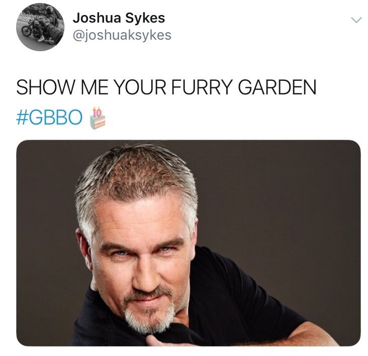Image may contain:  Great British Bake Off memes, GBBO, Bake Off, meme, episode one, Great British Bake Off, furry garden, Paul Hollywood, reaction, twitter, tweet, Face, Text, Human, Person