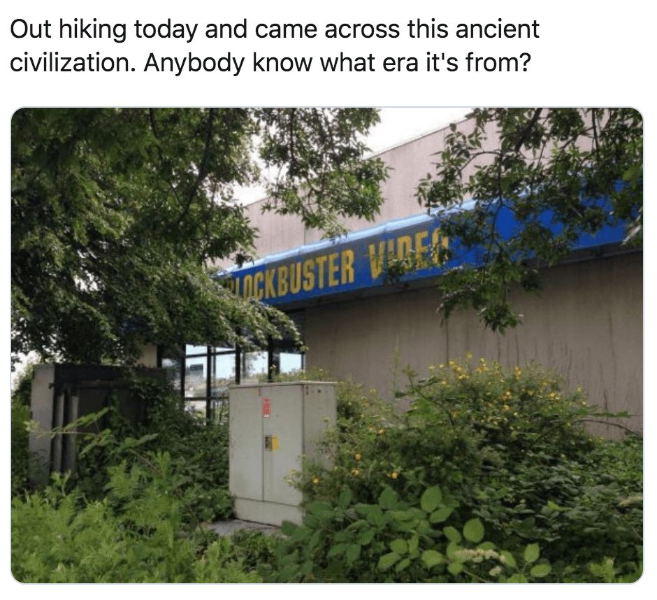 Image may contain: 90s kid memes, school, uk, meme, tweet, reaction, funny, 00s, 90s, nostalgic, blockbuster, video, friday, night, Garden, Forest, Land, Woodland, Zoo, Animal, Nature, Text, Tree, Outdoors, Plant, Bush, Vegetation