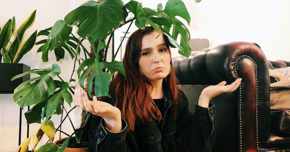 Are you being houseplanted? The signs of houseplanting