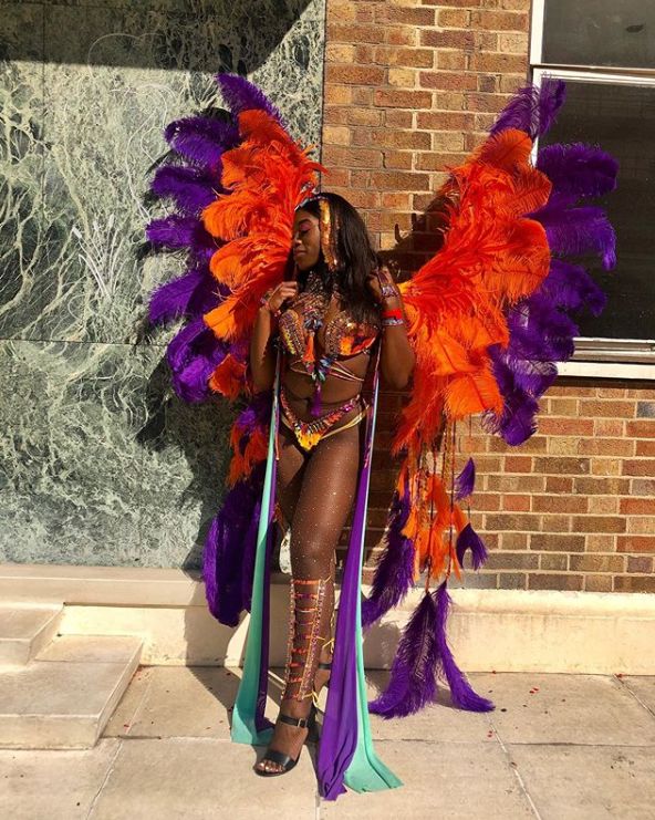 Image may contain: Leisure Activities, Purple, Carnival, Clothing, Apparel, Brick, Festival, Person, Human, Crowd, Costume