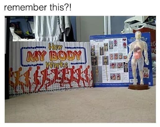 Image may contain: 90s kid memes, school, uk, meme, tweet, reaction, funny, 00s, 90s, nostalgic, how my body works, game, science, lesson, Person, Human, Furniture, Text, Shop