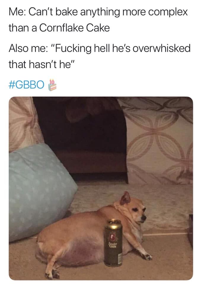 Image may contain:  Great British Bake Off memes, GBBO, Bake Off, meme, episode one, Great British Bake Off, funny, reaction, twitter, tweet, dog, cornflake cake, Puppy, Mammal, Pet, Animal, Canine, Dog, Furniture, Couch, Cushion, Pillow