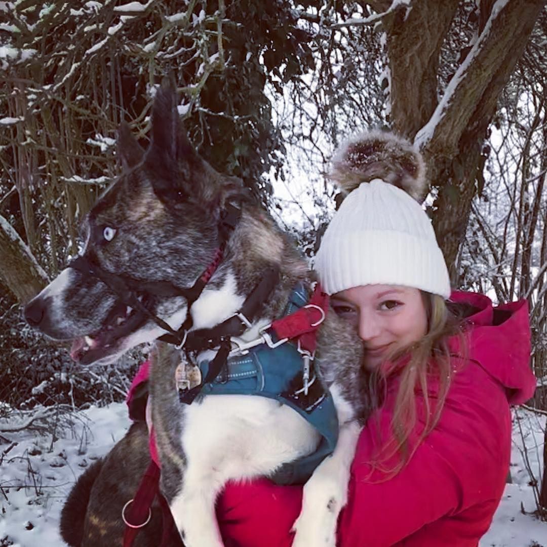 Image may contain: Great British Bake Off 2019, Rosie Brandreth-Poynter, Rosie, university, cast, contestants, lineup, Instagram, GBBO, Bake Off, 2019, start date, Channel 4, Snow, Nature, Ice, Outdoors, Clothing, Apparel, Animal, Pet, Mammal, Canine, Dog, Husky, Person, Human