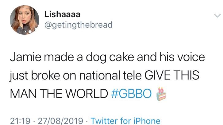 Image may contain:  Great British Bake Off memes, GBBO, Bake Off, meme, episode one, Great British Bake Off, Jamie, cake, dog, tweet, Word, Text, Human, Person
