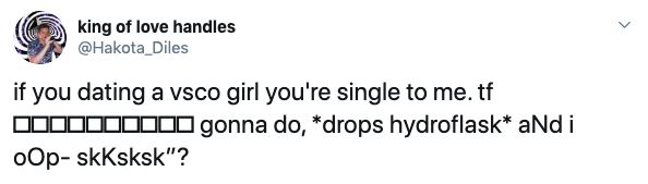 VSCO girl memes, tiktok, video, tweet, twitter, viral, trend, quiz, metal straw, hydro flask, scrunchie, instagram, basic bitch, turtles, sksksks, and i oop