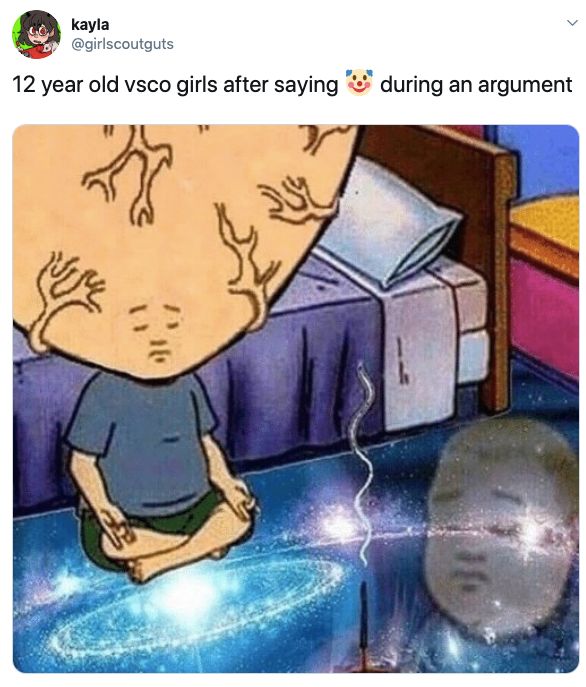 VSCO girl memes, tiktok, video, tweet, twitter, viral, trend, quiz, metal straw, hydro flask, scrunchie, instagram, basic bitch, turtles, sksksks, and i oop
