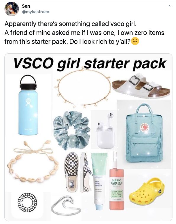 VSCO girl memes, tiktok, video, tweet, twitter, viral, trend, quiz, metal straw, hydro flask, scrunchie, instagram, basic bitch, turtles, sksksks, and i oop