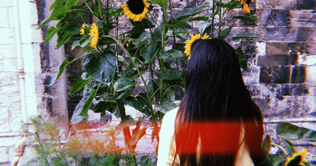 Image may contain: Sunflower, Vegetation, Flower, Blossom, Hair, Plant, Human, Person