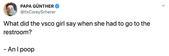 VSCO girl memes, tiktok, video, tweet, twitter, viral, trend, quiz, metal straw, hydro flask, scrunchie, instagram, basic bitch, turtles, sksksks, and i oop