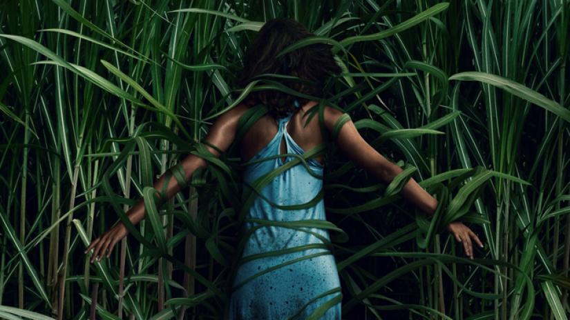 In the Tall Grass ending explained, In the Tall Grass, Netflix, film, thriller, horror, ending, explained, grass, rock, meaning, review,