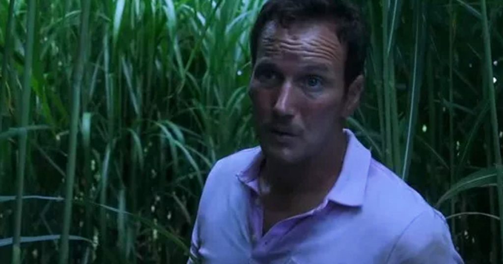 In the Tall Grass ending explained, In the Tall Grass, Netflix, film, thriller, horror, ending, explained, grass, rock, meaning, review,