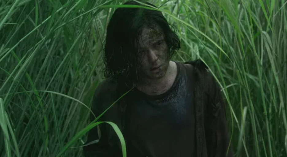 In the Tall Grass, Netflix, film, horror, thriller, plot, questions, confusing, spoilers, ending, Travis