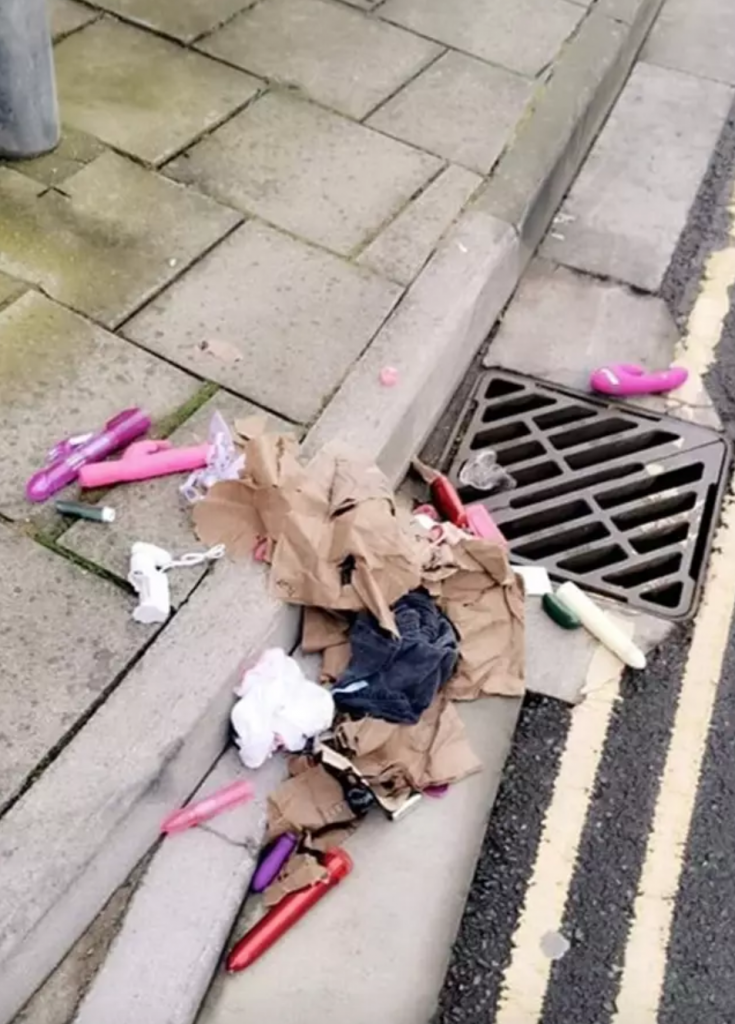 dildos, found, bag, somerset, facebook, lost, sex toys, sex, viral, news
