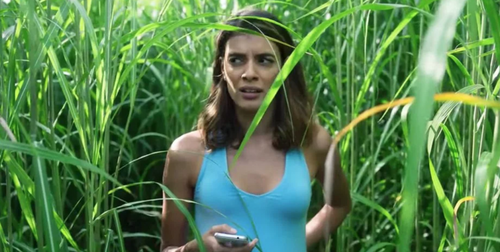 Netflix horror films, best, scary, best horror films on Netflix, horror, thriller, film, movie, new, now, popular, binge, In the Tall Grass