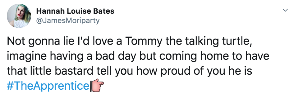 The Apprentice, Thomas Skinner, memes, candidates, reaction, twitter, funny, meme, Tommy, Tom, Turtle, last night, 2019, contestants