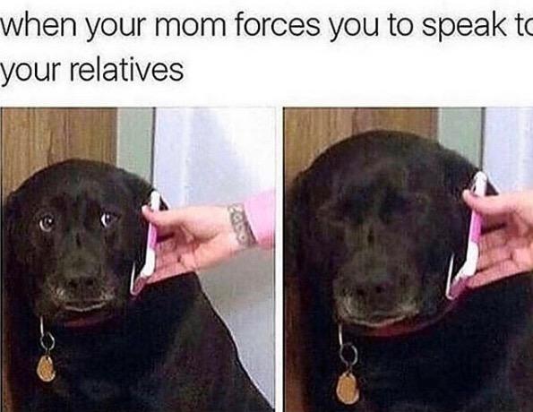 Meme of the decade vote, meme of the decade, meme, best, vote, 2010s, 10 years, ever, sad dog on phone