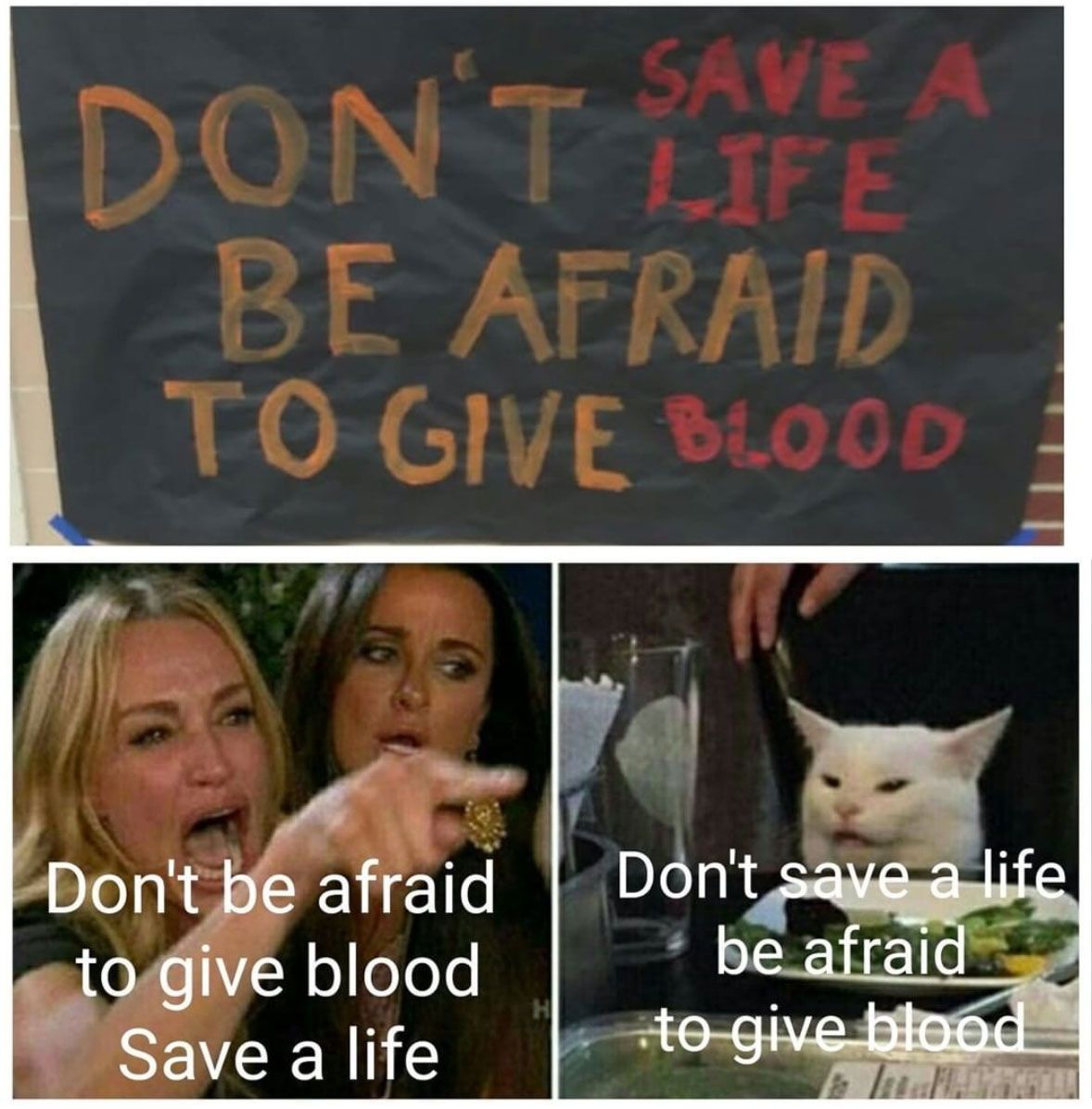 Image may contain: best woman yelling at cat memes, woman yelling at cat meme, cat, memes, best, funniest, examples, tweet, Twitter, reaction,Face, Mammal, Animal, Cat, Pet, Text, Poster, Advertisement, Person, Human