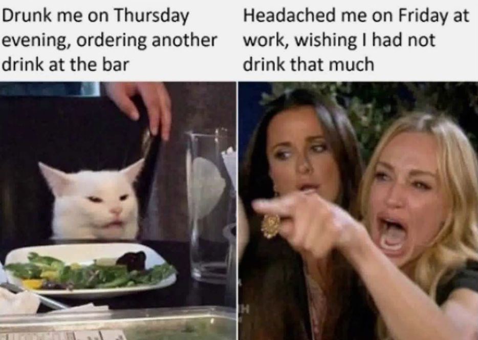 Image may contain: best woman yelling at cat memes, woman yelling at cat meme, cat, memes, best, funniest, examples, tweet, Twitter, reaction,Food, Meal, Poster, Advertisement, Pet, Mammal, Animal, Cat, Face, Person, Human