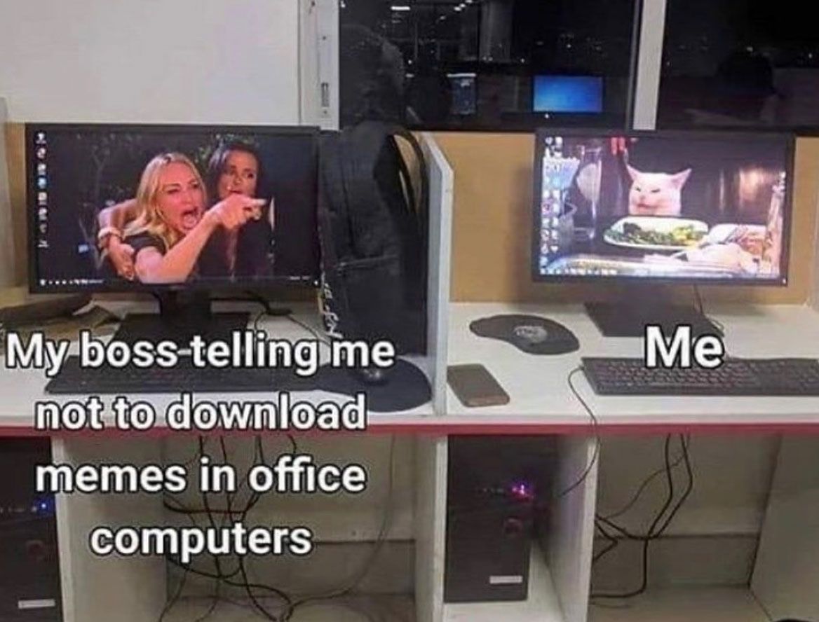 Image may contain: best woman yelling at cat memes, woman yelling at cat meme, cat, memes, best, funniest, examples, tweet, Twitter, reaction, Pet, Animal, Mammal, Cat, Pc, Computer, LCD Screen, TV, Television, Person, Human, Electronics, Monitor, Screen, Display
