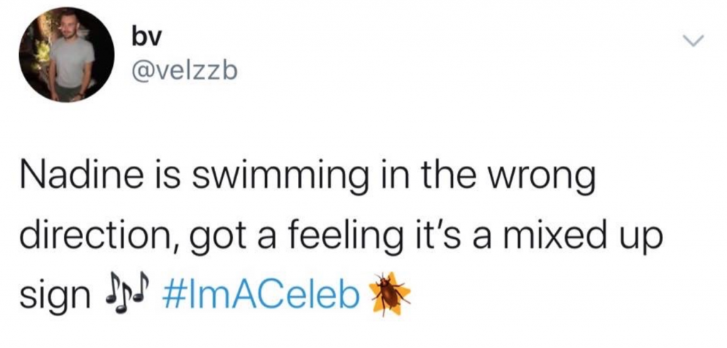 I'm A Celeb memes, I'm A Celebrity Get Me Out of Here, memes, reactions, last night, first episode, James, Ant, Kate Garraway, Bruce, Caitlyn Jenner, Kris Jenner, Ian Wright, funny, Nadine Coyle