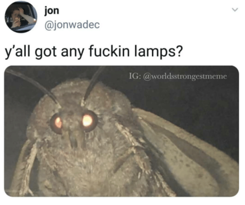 Meme of the decade vote, meme of the decade, meme, best, vote, 2010s, 10 years, ever, moth, lamp
