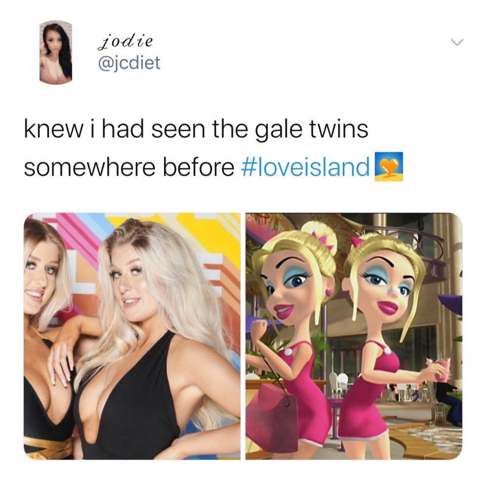Love Island, memes, meme, reaction, Twitter, funny, savage, winter, winter love island, south africa, cape town, Eve, Jess, twins
