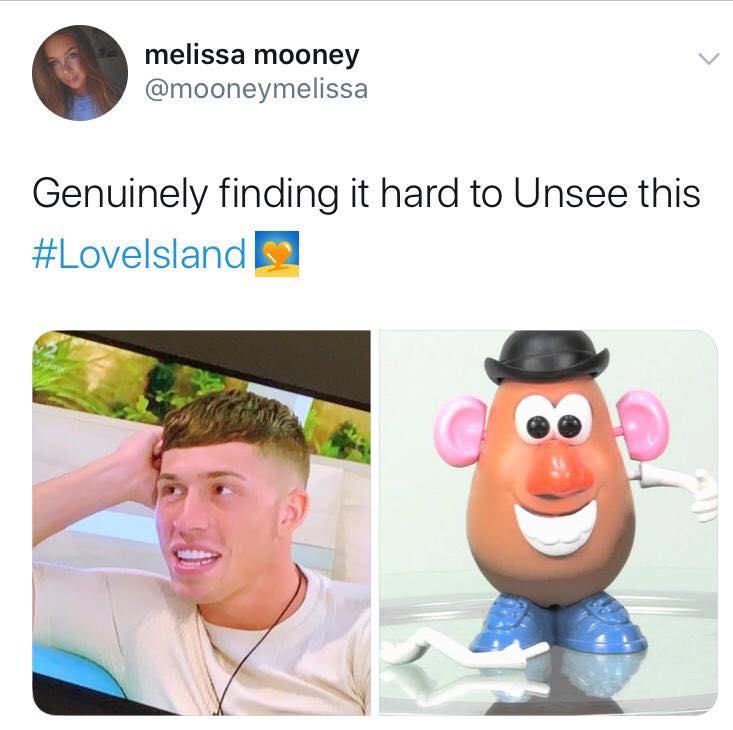 Love Island, memes, meme, reaction, Twitter, funny, savage, winter, winter love island, south africa, cape town, Connor, teeth, Mr Potato head, veneers
