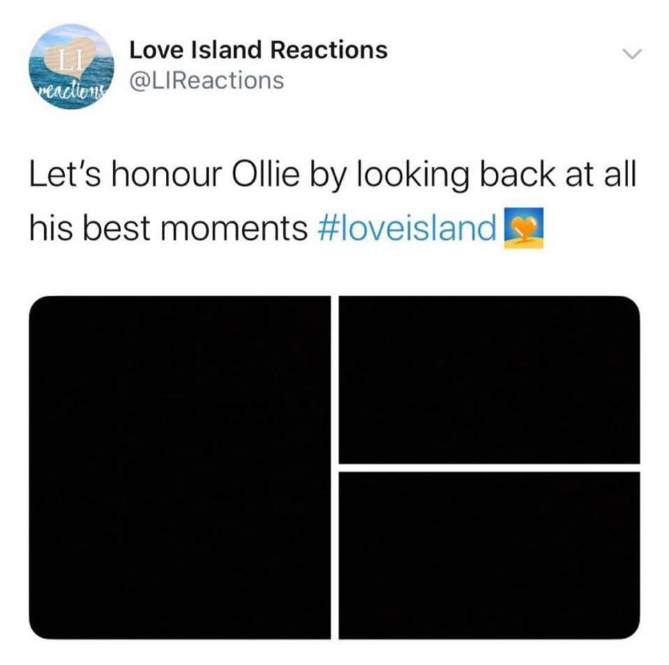Love Island, memes, reactions, winter, meme, Ollie Williams, Ollie, quit, left, departure, exit, last night, Twitter, South Africa, Cape Town, winter, animals, gun, poaching, hunting, savage