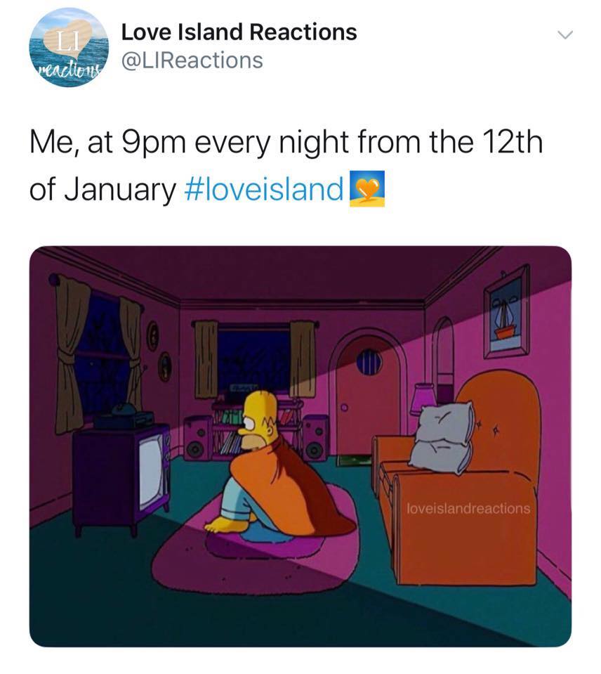 Love Island, memes, meme, reaction, Twitter, funny, savage, winter, winter love island, south africa, cape town